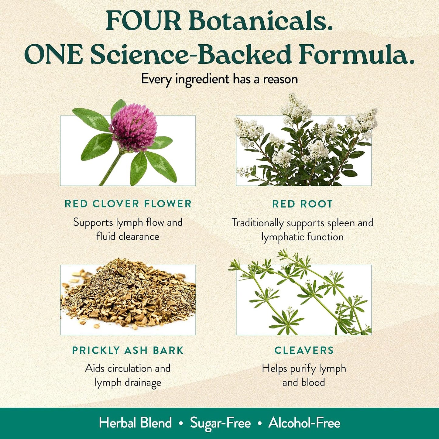 Lymphatic Drainage Supplement