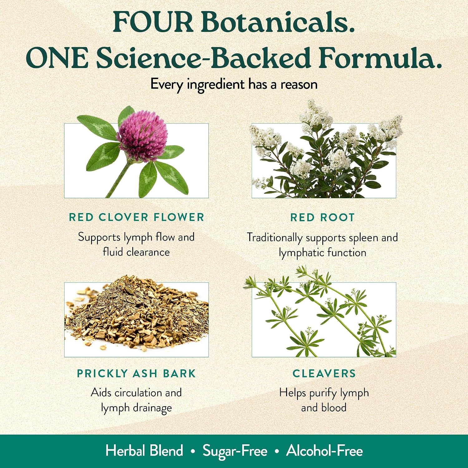 Lymphatic Drainage Supplement